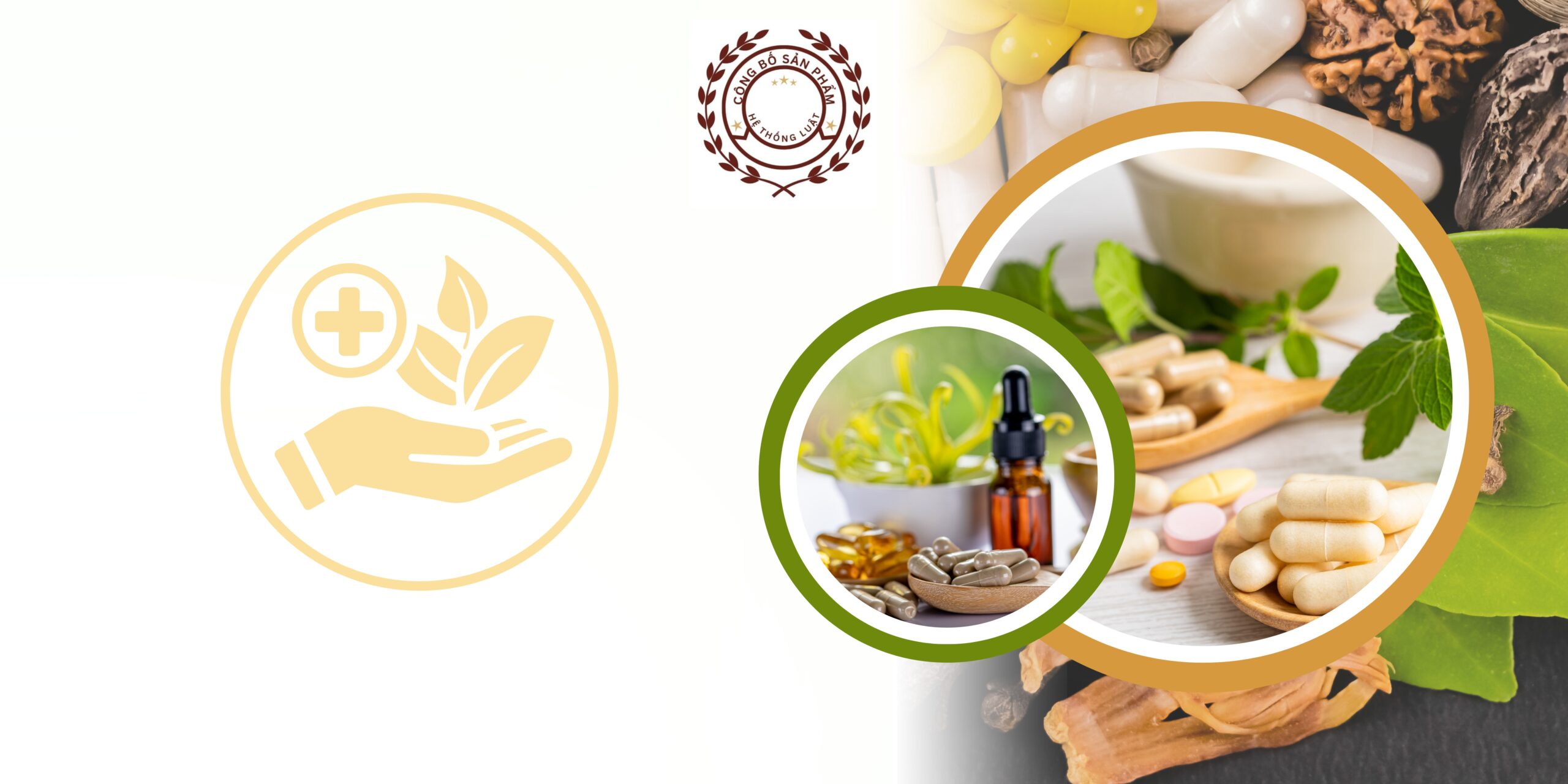 [XÃ NHƠN PHÚ, VĨNH LONG] – Luật sư đăng ký bản công bố cho thực phẩm chức năng theo quy định mới nhất tại địa điểm xã Nhơn Phú, Vĩnh Long - Ảnh 2
