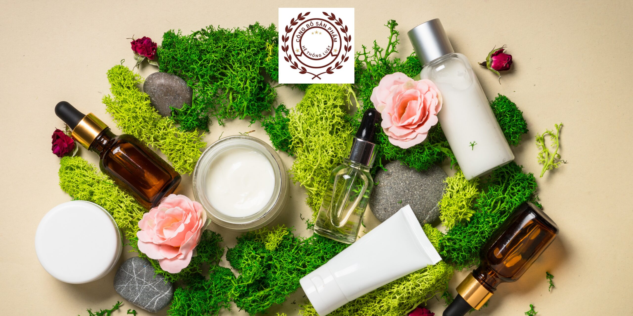 [XÃ HẢI LĂNG, QUẢNG TRỊ] – Gói dịch vụ đăng ký bản công bố đối với sản phẩm thực phẩm chức năng mới ở khu vực xã Hải Lăng, Quảng Trị - Ảnh 2