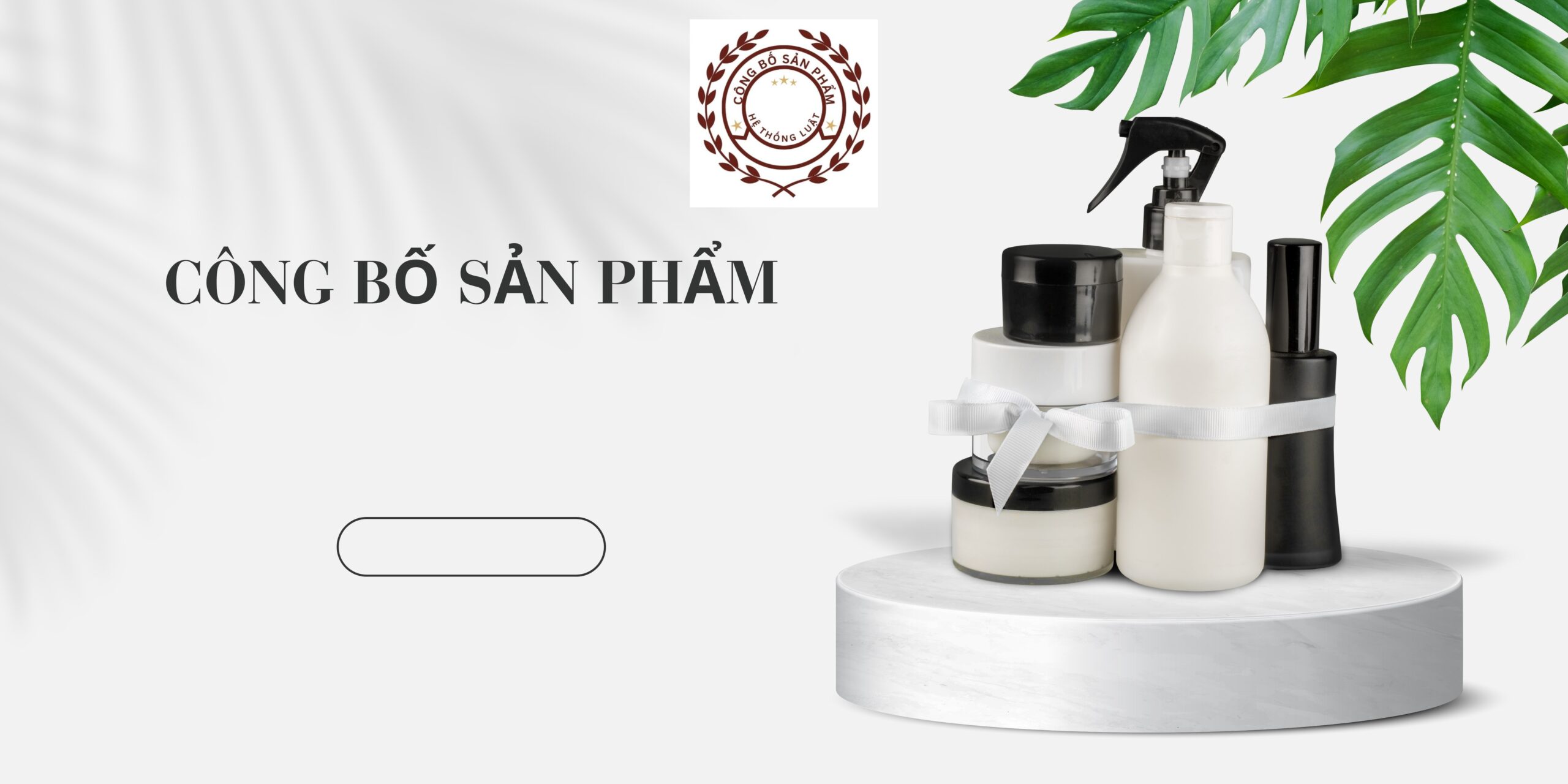 [XÃ KHÁNH BÌNH, AN GIANG] – Trọn gói dịch vụ đăng ký bản công bố cho sản phẩm thực phẩm chức năng mới địa điểm xã Khánh Bình, An Giang - Ảnh 2