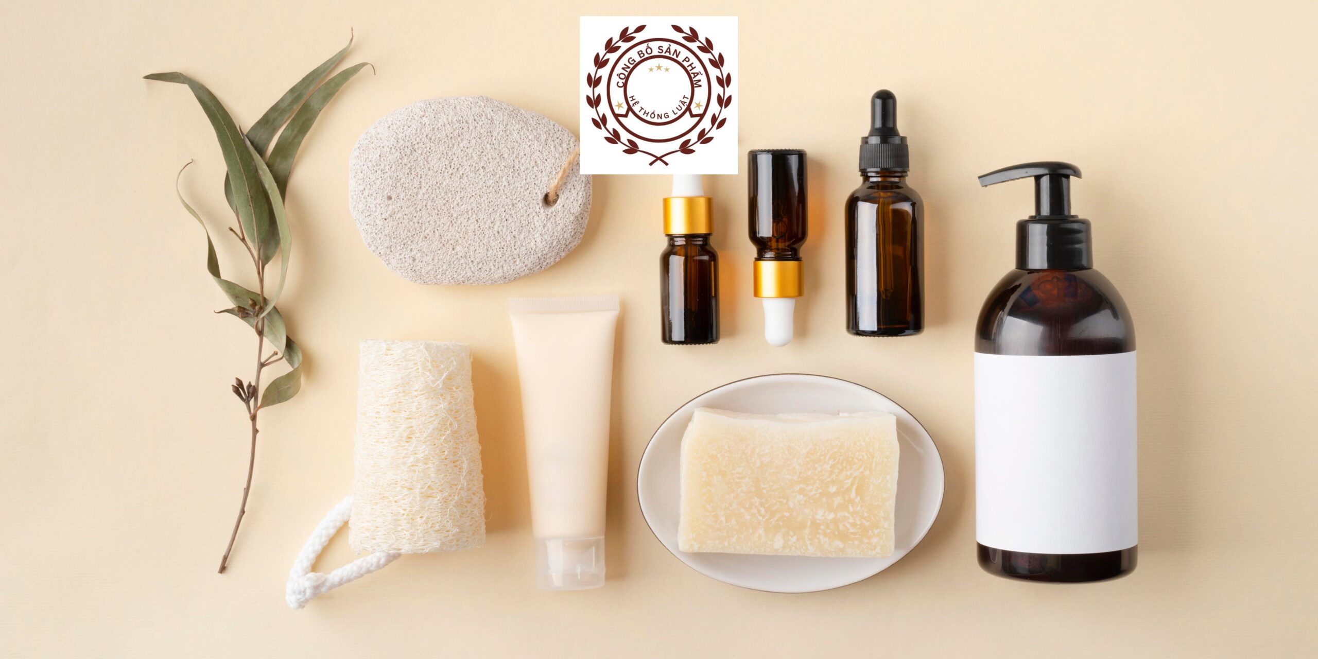 [XÃ CHIỀNG SẠI, SƠN LA] – Luật sư đăng ký công bố dành cho thực phẩm chức năng hiện nay tại khu vực xã Chiềng Sại, Sơn La - Ảnh 2